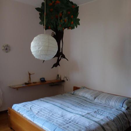B&B Verde Sul Mare 阿伦扎诺 外观 照片