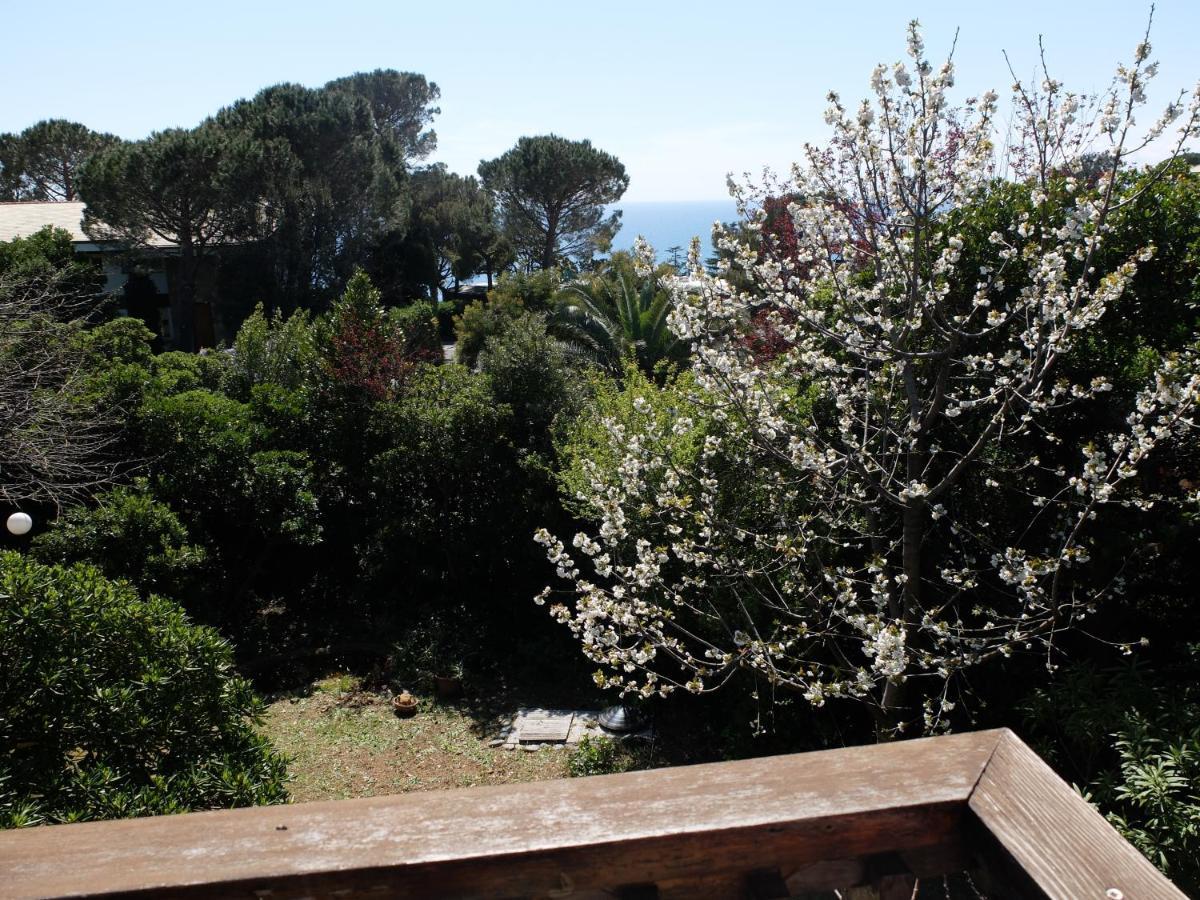 B&B Verde Sul Mare 阿伦扎诺 外观 照片