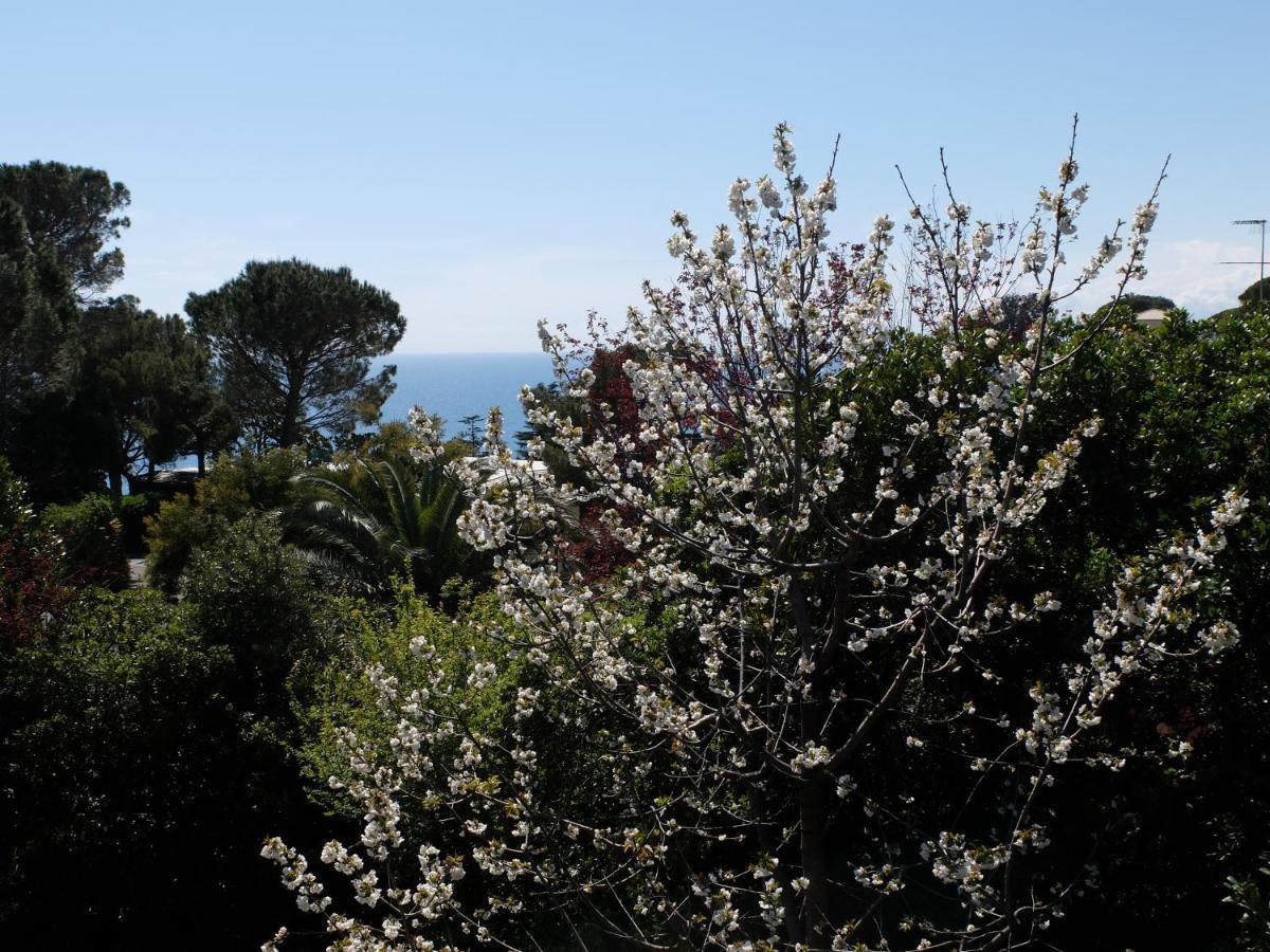 B&B Verde Sul Mare 阿伦扎诺 外观 照片